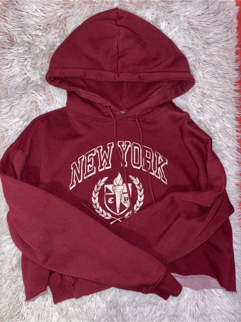 wild fable Burgundy New York Hooded Sweatshirt